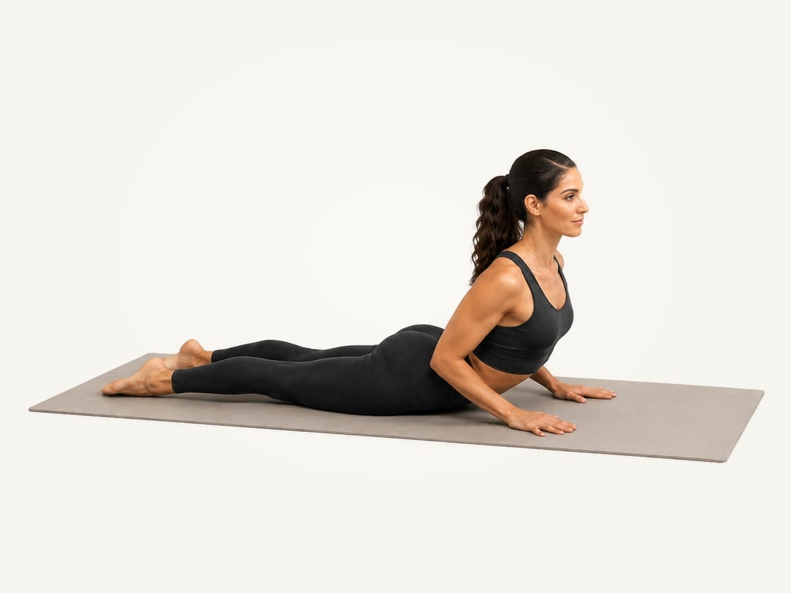 Cobra pose: lying face down with the chest lifted on the hands, elbows softly bent, pelvis and legs on the mat
