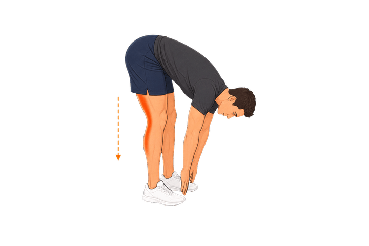 Standing Hamstring Fold demonstration