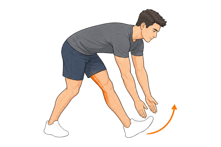 Hamstring Scoops demonstration